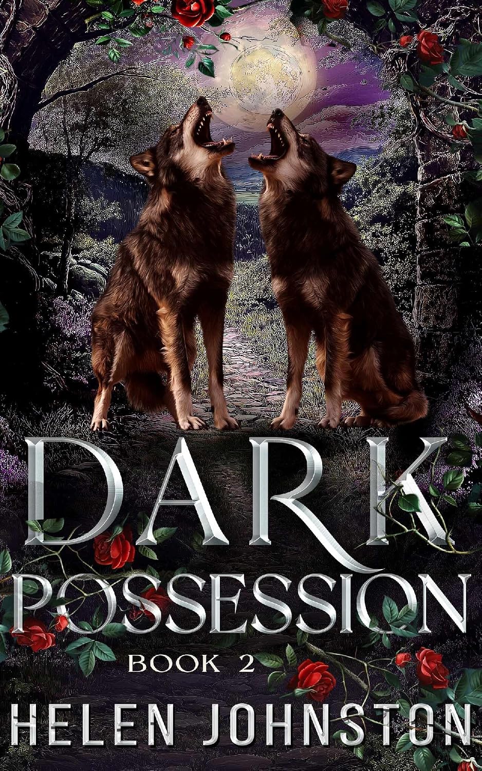 Dark Possession - Helen Johnston